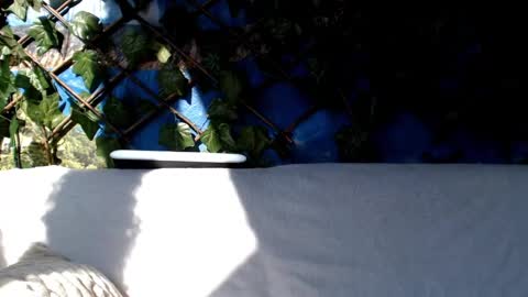 Kayla online show from March 3, 8:38 am