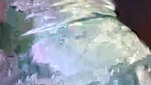 imabigolperv online show from April 14, 2:15 am