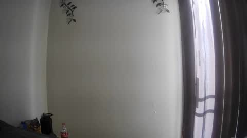 Snapshot of imnewherelollol chatting on October 8, 2:01 pm Majordadbod101 online show from October 8, 2:01 pm