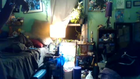 indigo_scorpio online show from August 6, 7:28 am