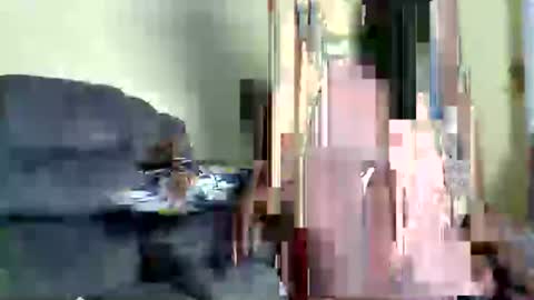 innocent3364 online show from June 17, 12:04 am