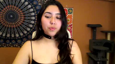 Africa online show from February 27, 6:09 pm