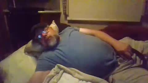 iowalaserbear online show from September 19, 8:51 am