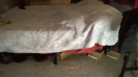 SexEngine88 online show from November 30, 7:15 am