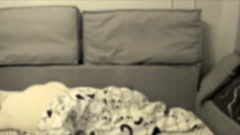 Snapshot of isabellaprincess21 chatting on September 20, 5:49 pm Isabella online show from September 20, 5:49 pm