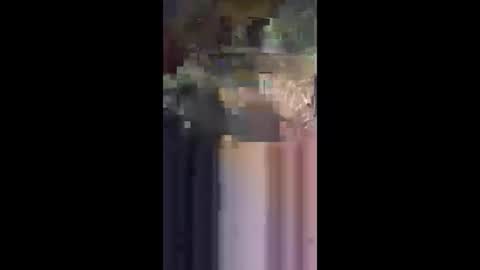 j557894 online show from October 31, 8:15 am