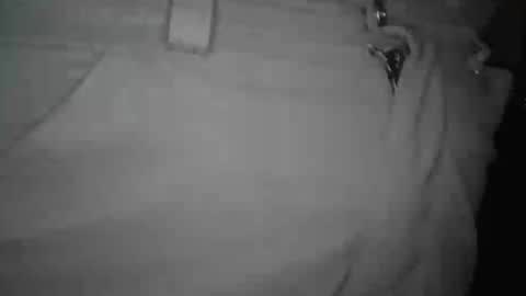 ja2923 online show from August 4, 2:29 am