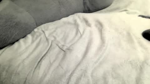 jack online show from February 23, 5:45 am