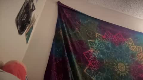 Snapshot of jadexbabe chatting on February 2, 8:56 am Jadexbabe online show from February 2, 8:56 am