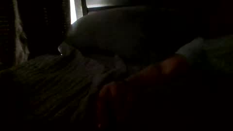 Jamacian online show from October 20, 5:07 pm