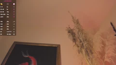 Juan online show from November 26, 2:09 am