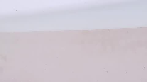 Bootyshows online show from March 22, 8:13 pm