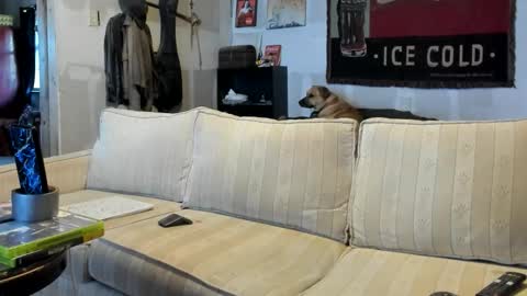 O F   jay short786 online show from November 5, 2:41 pm