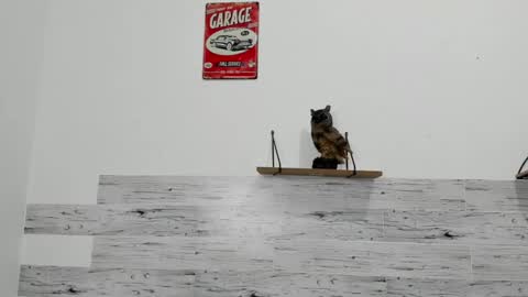 Jaycreedd online show from March 7, 4:45 am