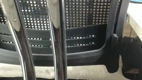 jc200000 online show from February 17, 6:39 pm