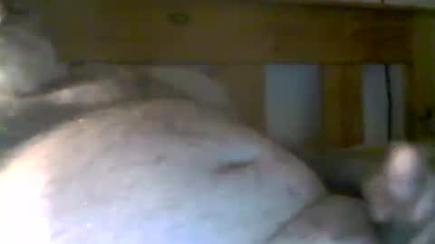 jerkmate6666 online show from June 21, 7:37 am