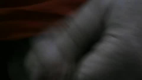 jerom111111111 online show from January 2, 2:24 pm