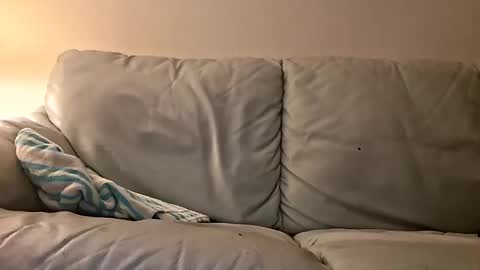 Snapshot of jeyhardsmashin69 chatting on October 25, 2:34 am jeyhardsmashin69 online show from October 25, 2:34 am