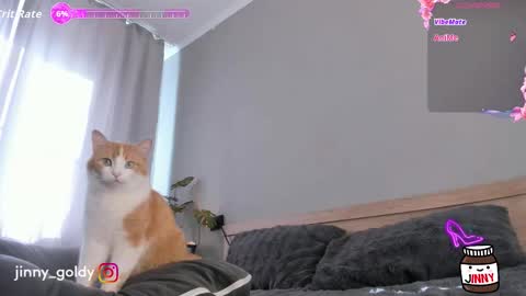 MY NEW INSTA jinny goldy online show from February 15, 7:51 am