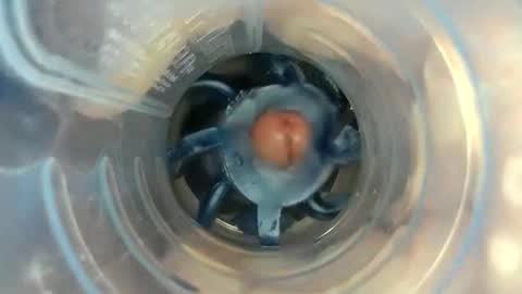 J online show from November 7, 2:52 pm