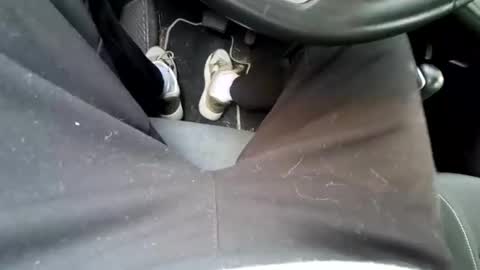 jmt0073 online show from January 13, 10:56 am