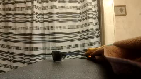 joblow2023 online show from October 1, 10:14 am