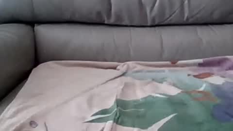 bigger than some online show from March 5, 8:10 pm