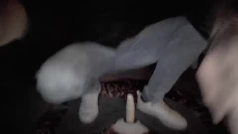 jordie198902 online show from November 9, 10:34 pm