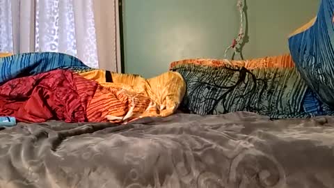 jorjina_x_mckie online show from January 9, 8:22 pm