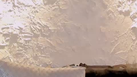 joselin online show from June 10, 2:16 pm