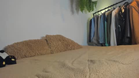 Juli online show from November 14, 2:14 am