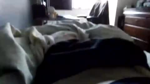 Asian office boy online show from January 4, 2:14 am