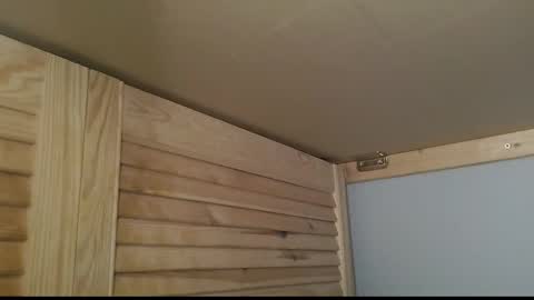 Gregor online show from February 20, 2:30 pm