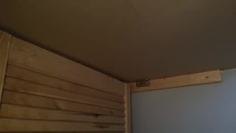 Gregor online show from November 28, 2:57 pm