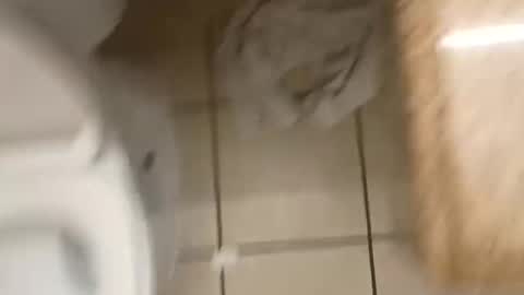 manolito online show from December 20, 12:12 pm