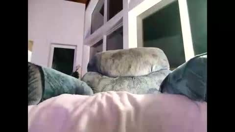 Snapshot of justforyou777770 chatting on January 8, 1:53 am Gil indpendant model exhibitionnist online show from January 8, 1:53 am