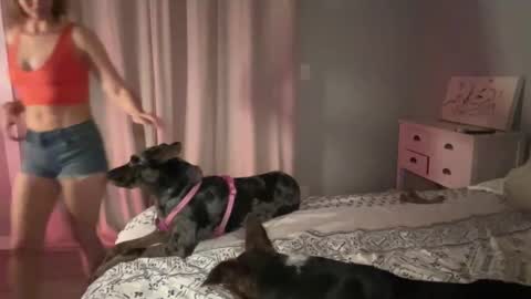 Kailee Smile online show from February 12, 4:54 am