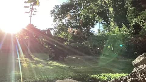 Kailee Smile online show from September 10, 3:29 am