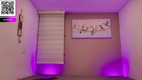 Kamila Sins online show from February 1, 8:17 pm