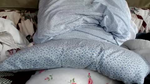 kaonashi69 online show from January 19, 6:21 pm