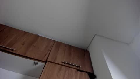 karina_aurora online show from January 11, 4:29 am