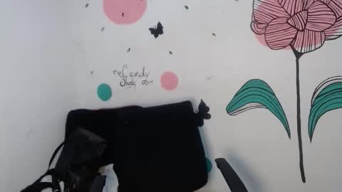 karissa online show from January 16, 9:29 am