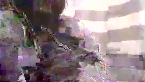 Karlos Montoya online show from January 1, 10:54 am