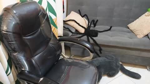 kathie_lozada online show from October 28, 6:14 am