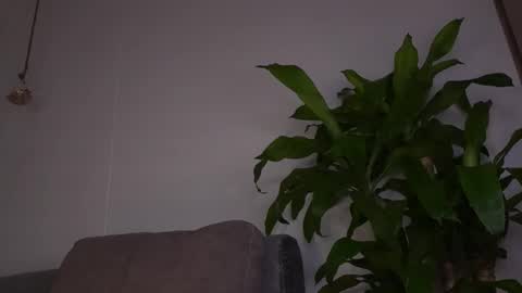 Katie online show from February 10, 11:13 am