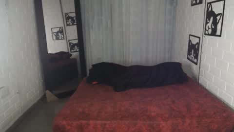 kattia online show from February 1, 12:40 am