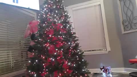 katycouple2003 online show from November 15, 4:47 am