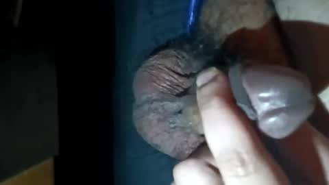 sphkawaiisu online show from December 22, 10:00 am