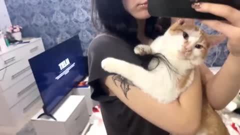 Stella online show from February 25, 1:58 pm