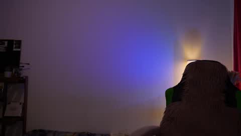 Kenly online show from February 15, 10:52 pm